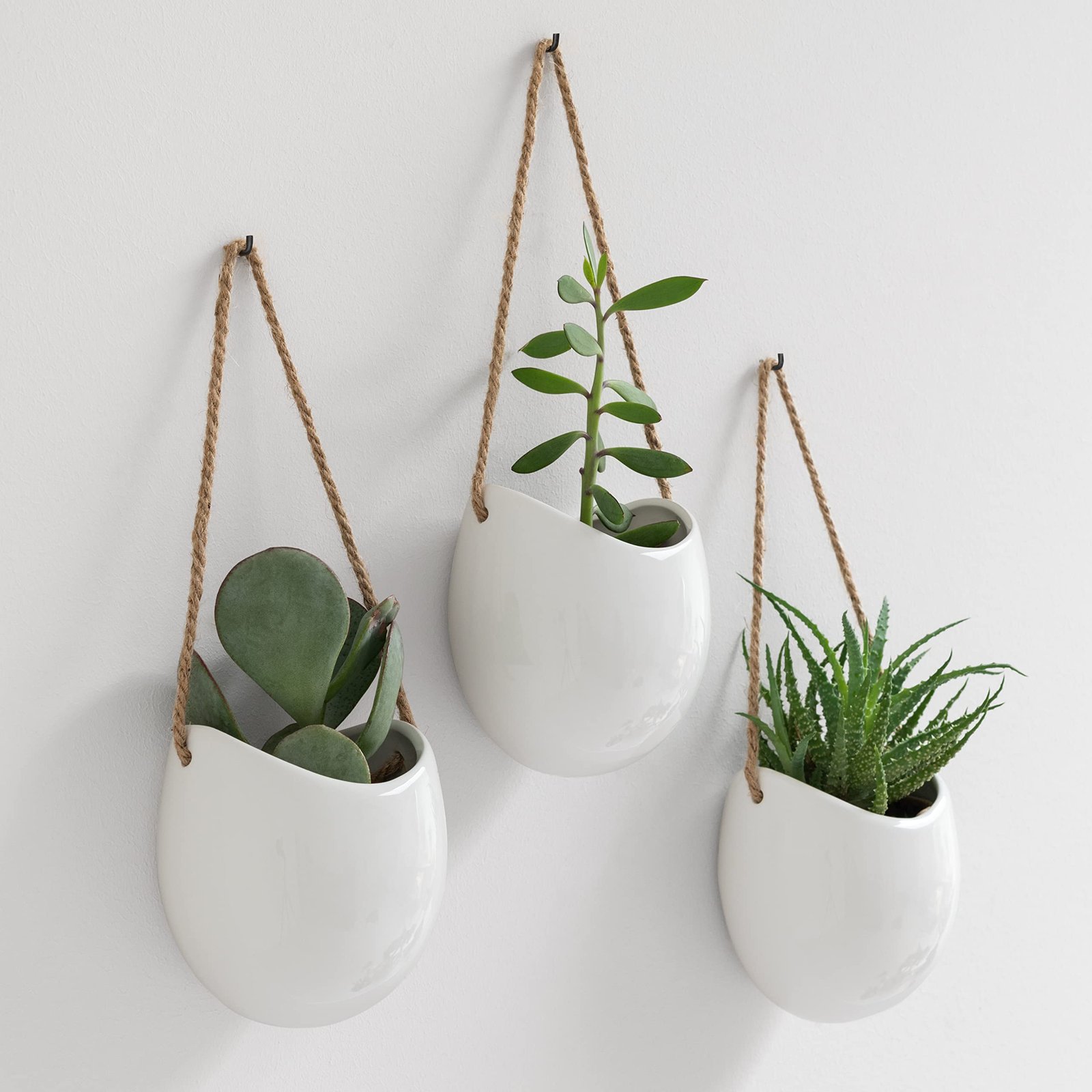 Product - The Busy Professional’s Guide to Faux Greenery: 10 Low-Maintenance Wall Vases for Instant Style